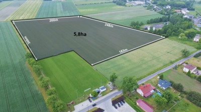 Działka przemysłowa 58 ha  gm Łowicz  MPZP - Niedźwiada  -
Łódzkie Zdjęcie nr 2