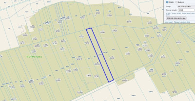 Posadź las w Wodźkach - Wodźki  -
Podlaskie Zdjęcie nr 5