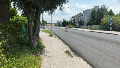 Działka budowlana  centrum 2606 m - Jędrzejów  -
Świętokrzyskie Zdjęcie nr 10