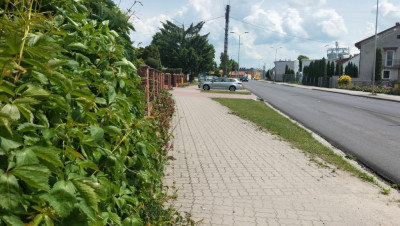 Działka budowlana  centrum 2606 m - Jędrzejów  -
Świętokrzyskie Zdjęcie nr 12