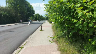 Działka budowlana  centrum 2606 m - Jędrzejów  - Świętokrzyskie