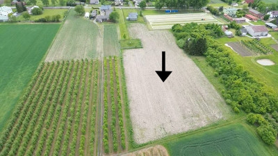 Działka wśród sadów i zieleni  Kompina - Kompina  -
Łódzkie Zdjęcie nr 2