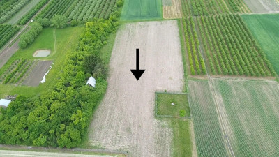 Działka wśród sadów i zieleni  Kompina - Kompina  -
Łódzkie Zdjęcie nr 3