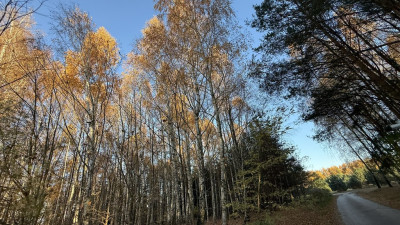 Idealna działka  z warunkami zabudowy - Józefów  -
Łódzkie Zdjęcie nr 5