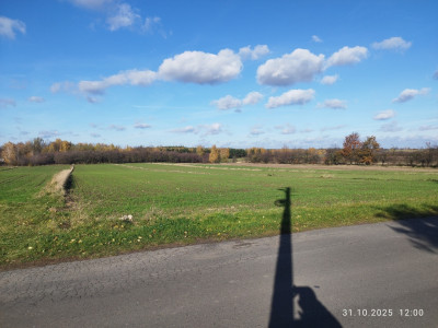 CENA 197 000 złotych  41 złm  do negocjacji - Nowostawy Dolne  -
Łódzkie Zdjęcie nr 2