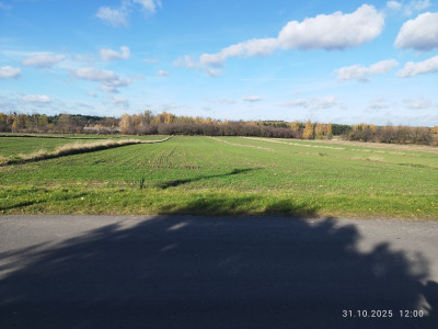 CENA 197 000 złotych  41 złm  do negocjacji - Nowostawy Dolne  -
Łódzkie Zdjęcie nr 4