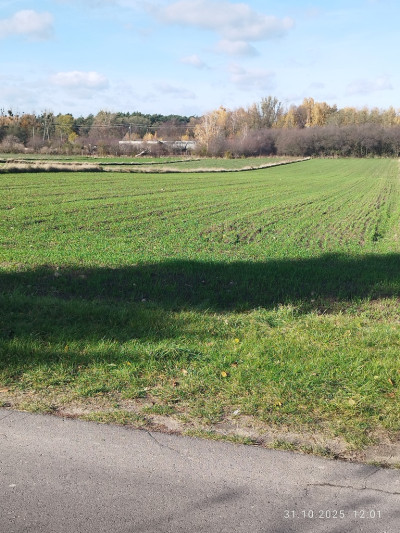 CENA 197 000 złotych  41 złm  do negocjacji - Nowostawy Dolne  -
Łódzkie Zdjęcie nr 5