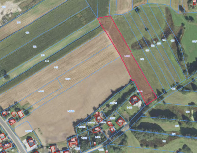 Działka 4988 m w Kaliszu-natura i miasto w jednym - Kalisz  - Wielkopolskie
