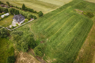 Działka 4988 m w Kaliszu-natura i miasto w jednym - Kalisz  -
Wielkopolskie Zdjęcie nr 8