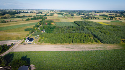 Azyl przy lesie  cisza gwarantowana - Boczki  - Łódzkie