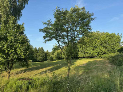 Twoje 1417 m  - działka Borówiec - Borówiec  -
Wielkopolskie Zdjęcie nr 7