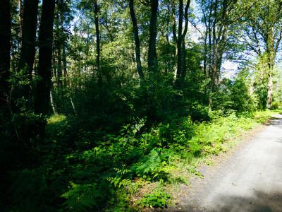 Leśne zacisze czeka na Ciebie - Księstwo  -
Łódzkie Zdjęcie nr 2