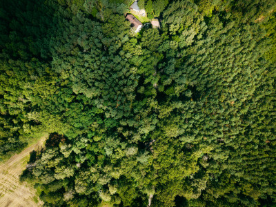 Leśne zacisze czeka na Ciebie - Księstwo  -
Łódzkie Zdjęcie nr 8