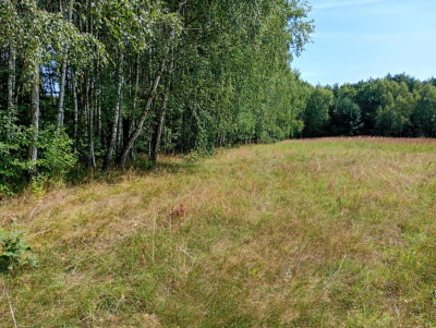 Działka na odludziu Tak i to konkretna - Holendry  -
Świętokrzyskie Zdjęcie nr 12