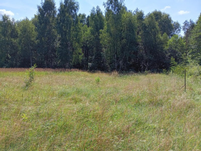 Działka na odludziu Tak i to konkretna - Holendry  -
Świętokrzyskie Zdjęcie nr 4