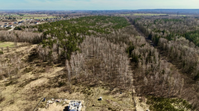 Działka rzut beretem od Malinki - Zgierz  -
Łódzkie Zdjęcie nr 6