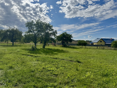 Duża działka w Rogach z domem  inwestycja marzeń - Rogi  - Podkarpackie