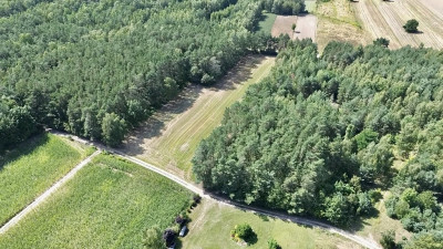 Prywatny zakątek w sercu przyrody - Pałczew  -
Łódzkie Zdjęcie nr 4