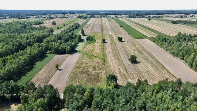Prywatny zakątek w sercu przyrody - Pałczew  -
Łódzkie Zdjęcie nr 7