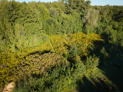 Rąbień - działka - Rąbień  -
Łódzkie Zdjęcie nr 12