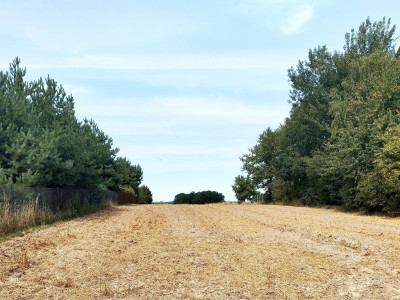 Wyjątkowa działka w atracyjnej cenie  Dominów - Dominów  - Lubelskie