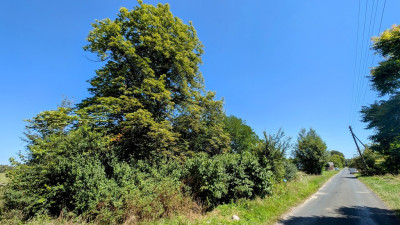 Twój kawałek spokoju w gminie Zelów - Grabostów  -
Łódzkie Zdjęcie nr 7