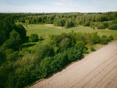 Odkryj swój kawałek ziemi w Zdzieszulicach Górnych - Zdzieszulice Górne  -
Łódzkie Zdjęcie nr 12