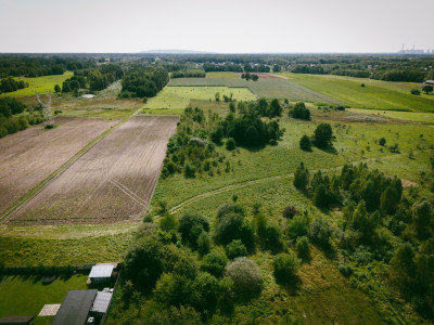 Odkryj swój kawałek ziemi w Zdzieszulicach Górnych - Zdzieszulice Górne  -
Łódzkie Zdjęcie nr 13