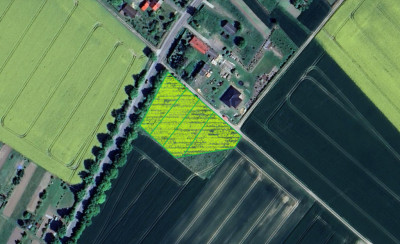 Idealne działki dla Ciebie - Zielin  -
Zachodniopomorskie Zdjęcie nr 4