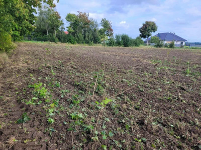 Idealne działki dla Ciebie - Zielin  -
Zachodniopomorskie Zdjęcie nr 9