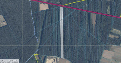 Grunt leśny po wycince w gm Wąsewo - Zastawie  - Mazowieckie