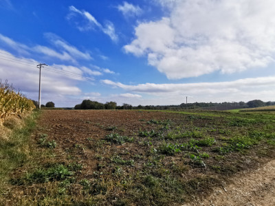 Działka w sąsiedztwie zabudowy - cicha okolica - Sietesz  - Podkarpackie