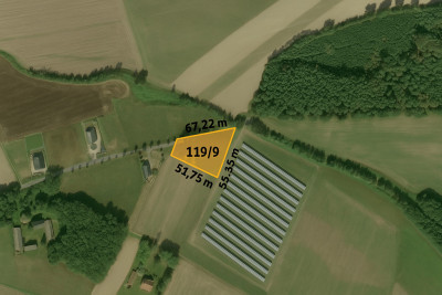 Działka 1681 m  otoczona lasem i łąkami - Tuchola  -
Wielkopolskie Zdjęcie nr 6