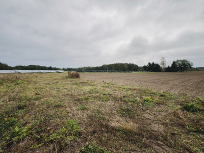 Działka 1681 m  otoczona lasem i łąkami - Tuchola  -
Wielkopolskie Zdjęcie nr 7