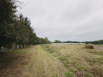 Działka 1681 m  otoczona lasem i łąkami - Tuchola  -
Wielkopolskie Zdjęcie nr 9