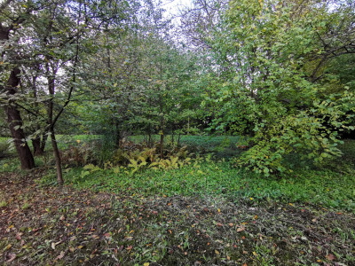 UMOWA PRZEDWSTĘPNA - Łańcut  -
Podkarpackie Zdjęcie nr 6