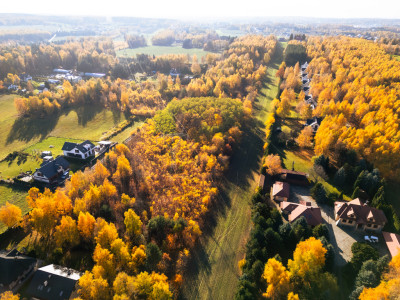 Grunt to dobra inwestycja  dosłownie - Łódź  -
Łódzkie Zdjęcie nr 7