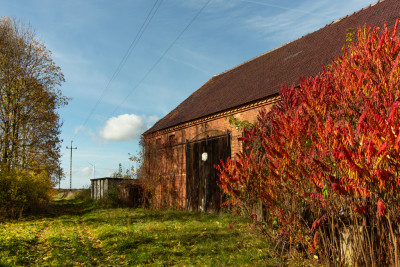 Działka rolna stodoła i część mieszkalna w domu - Mycielin  -
Lubuskie Zdjęcie nr 8
