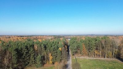 Przestrzeń na budowę wymarzonego domu - Wola Kazubowa  -
Łódzkie Zdjęcie nr 5