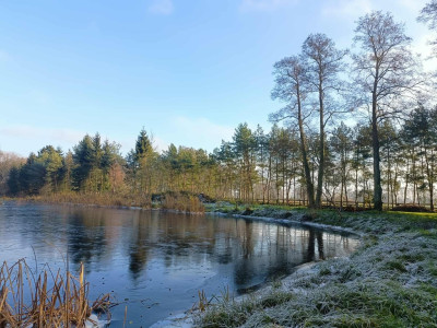 Wymarzone siedlisko - las jezioro rzeka - Uniemyśl  -
Zachodniopomorskie Zdjęcie nr 12