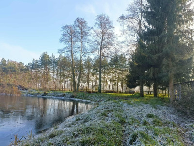 Wymarzone siedlisko - las jezioro rzeka - Uniemyśl  -
Zachodniopomorskie Zdjęcie nr 13