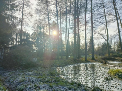 Wymarzone siedlisko - las jezioro rzeka - Uniemyśl  -
Zachodniopomorskie Zdjęcie nr 14