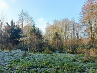 Wymarzone siedlisko - las jezioro rzeka - Uniemyśl  -
Zachodniopomorskie Zdjęcie nr 3