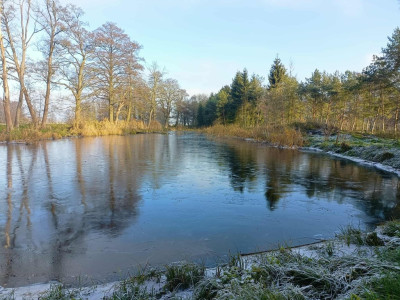 Wymarzone siedlisko - las jezioro rzeka - Uniemyśl  -
Zachodniopomorskie Zdjęcie nr 5