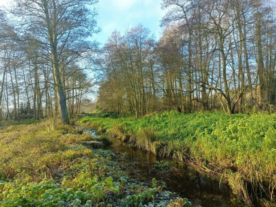 Wymarzone siedlisko - las jezioro rzeka - Uniemyśl  -
Zachodniopomorskie Zdjęcie nr 8