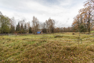 Płaska działka 134 ha idealna pod inwestycję - Drzeniów  - Lubuskie