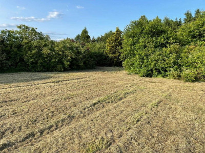 Ogrodzona działka budowlana - 25 arów z mediami - Wodzisław Śląski  -
Śląskie Zdjęcie nr 4