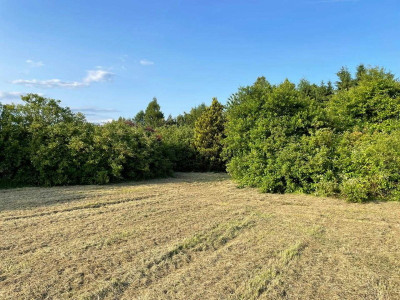 Ogrodzona działka budowlana - 25 arów z mediami - Wodzisław Śląski  -
Śląskie Zdjęcie nr 9