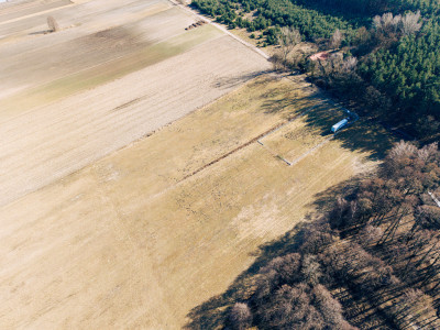 Działka 414 ha z zabudową zagrodową w Modlnej - Modlna  -
Łódzkie Zdjęcie nr 6
