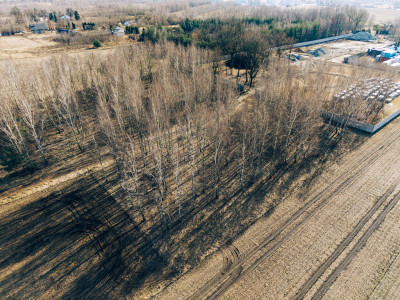 Tymianka - działki 12031614 m MPZP - Tymianka  -
Łódzkie Zdjęcie nr 8